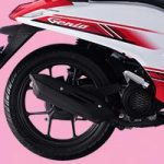 Stylish Muffler and Pillion Step