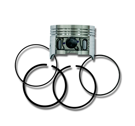 Piston & Piston Ring